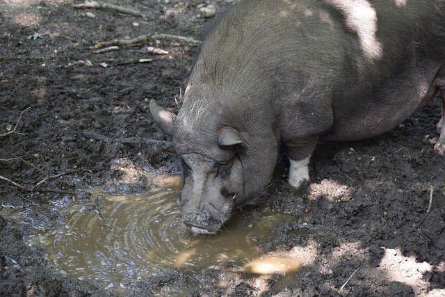 并最终以微 并最终以微