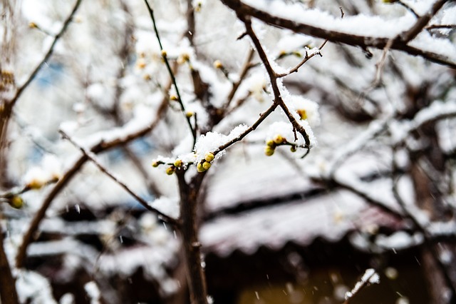 分析这场比
